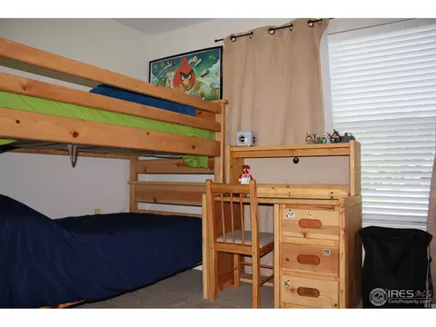 1114 Valley Dr, Windsor, CO 80550 photo 7