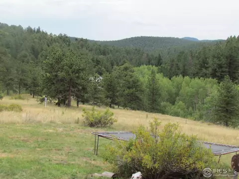 672 Saint Vrain Rd, Lyons, CO 80540 photo 10