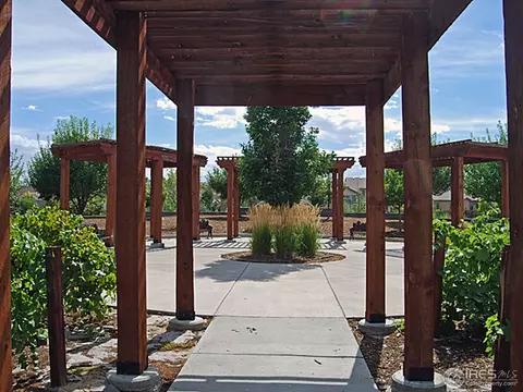 2066 Vineyard Dr, Windsor, CO 80550 photo 4