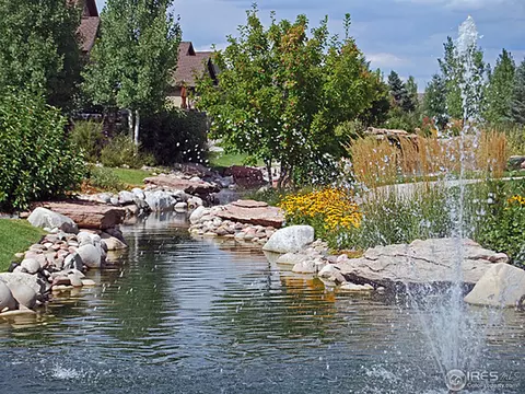 2066 Vineyard Dr, Windsor, CO 80550 photo 10