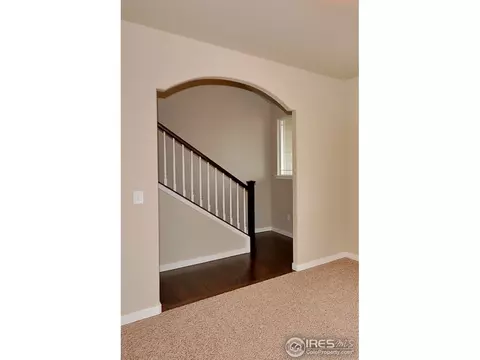 513 Vivian St, Severance, CO 80546 photo 11