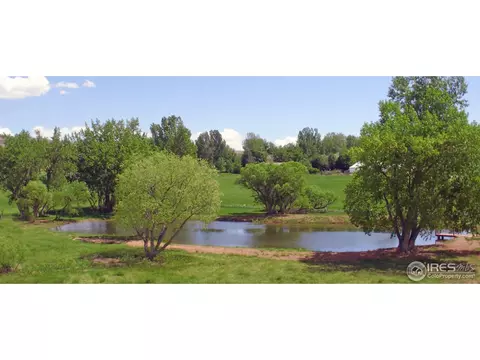 3839 Prado Dr, Laporte, CO 80535 photo 3