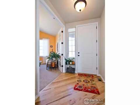 130 Kitty Hawk Dr, Windsor, CO 80550 photo 3
