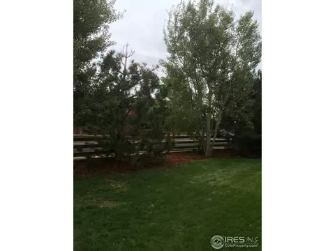 17513 E 104th Way, Commerce City, CO 80022 photo 19