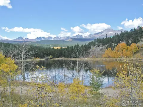 463 Pine Cone Cir, Ward, CO 80481 photo 12