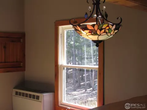 463 Pine Cone Cir, Ward, CO 80481 photo 6