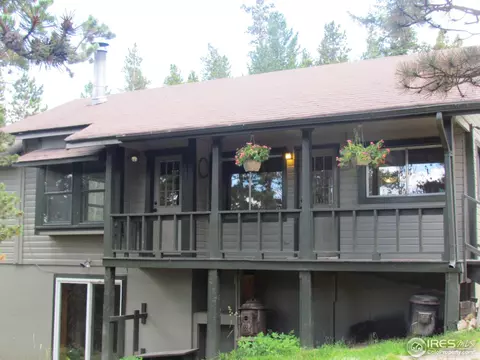 463 Pine Cone Cir, Ward, CO 80481 photo 15