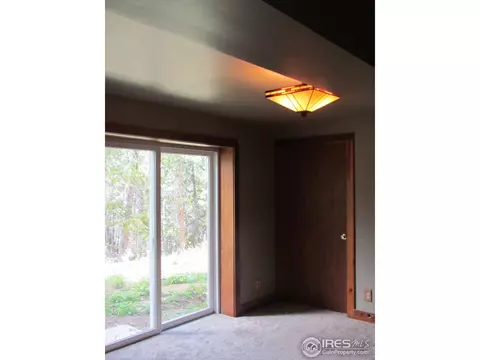 463 Pine Cone Cir, Ward, CO 80481 photo 9