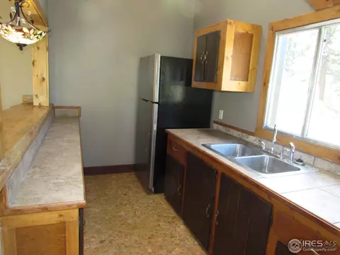 463 Pine Cone Cir, Ward, CO 80481 photo 5