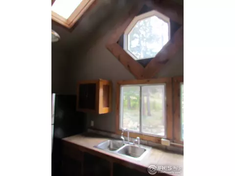 463 Pine Cone Cir, Ward, CO 80481 photo 2