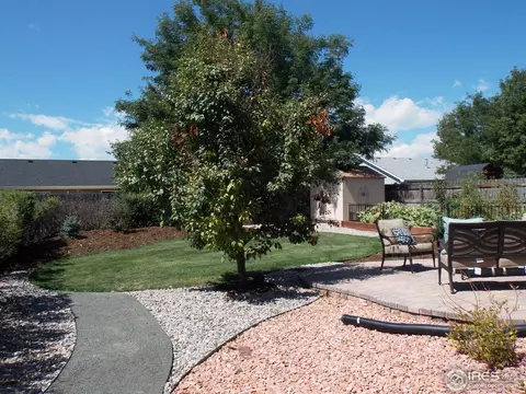 1112 Alpine Ct, Windsor, CO 80550 photo 3
