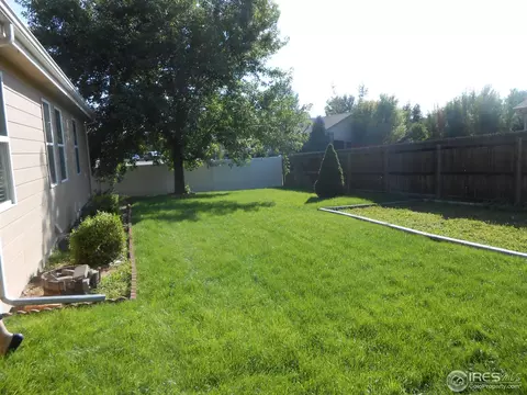 1118 Summit Ct, Windsor, CO 80550 photo 9