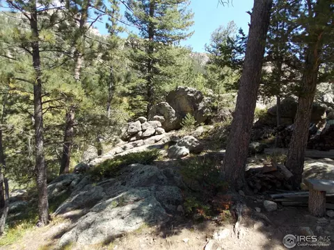 358 Cedar Dr, Lyons, CO 80540 photo 10