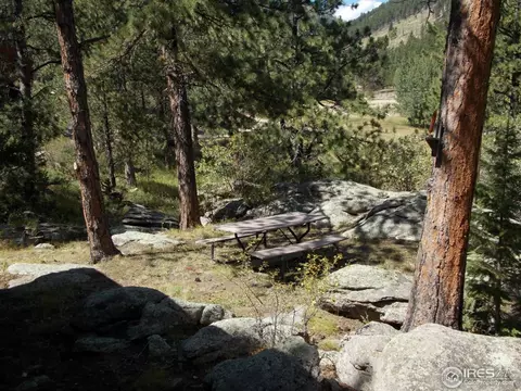 358 Cedar Dr, Lyons, CO 80540 photo 13
