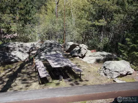 358 Cedar Dr, Lyons, CO 80540 photo 9