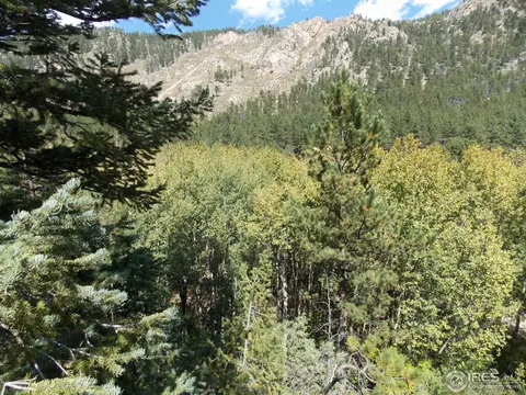 358 Cedar Dr, Lyons, CO 80540 photo 21