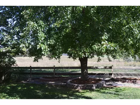 9748 Teller Ct, Westminster, CO 80021 photo 19
