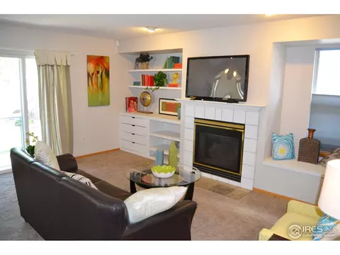 9748 Teller Ct, Westminster, CO 80021 photo 8