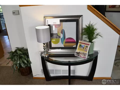9748 Teller Ct, Westminster, CO 80021 photo 22