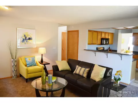 9748 Teller Ct, Westminster, CO 80021 photo 9
