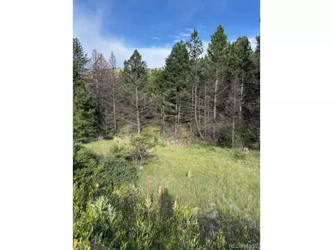 Undisclosed, Canon City, CO 81212