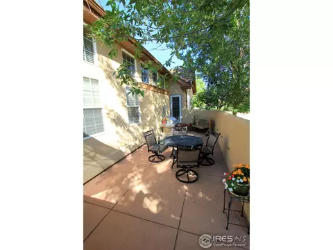 307 Pelican Cv, Windsor, CO 80550 photo 23