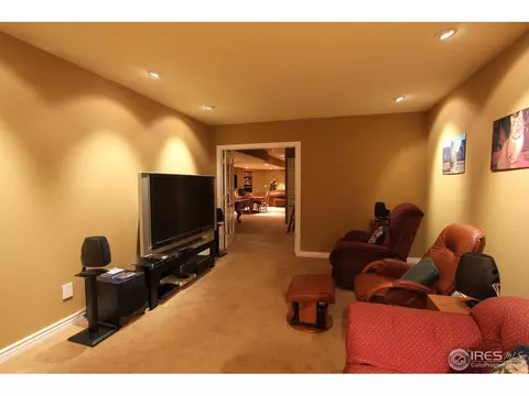 307 Pelican Cv, Windsor, CO 80550 photo 21