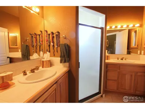 307 Pelican Cv, Windsor, CO 80550 photo 13