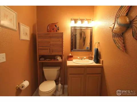 307 Pelican Cv, Windsor, CO 80550 photo 20