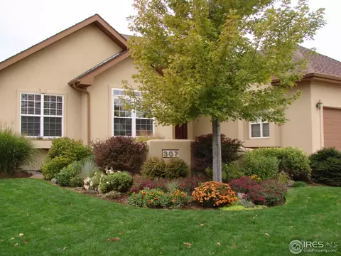 307 Pelican Cv, Windsor, CO 80550 photo 1
