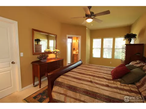 307 Pelican Cv, Windsor, CO 80550 photo 12