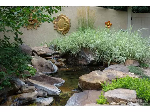 307 Pelican Cv, Windsor, CO 80550 photo 22