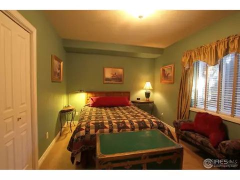 307 Pelican Cv, Windsor, CO 80550 photo 19