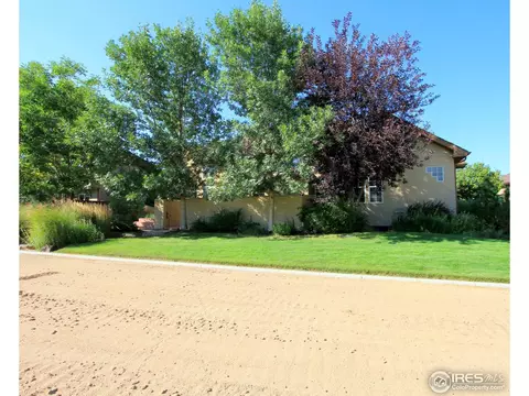 307 Pelican Cv, Windsor, CO 80550 photo 24