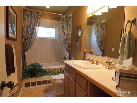 307 Pelican Cv, Windsor, CO 80550 photo 15
