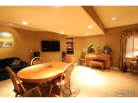 307 Pelican Cv, Windsor, CO 80550 photo 17