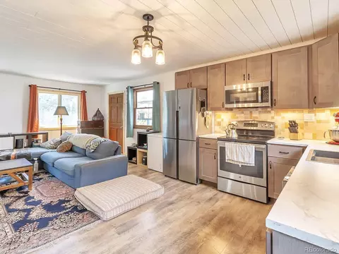 601 Bramer Rd, Ward, CO 80481 photo 10
