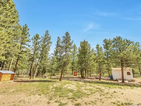 601 Bramer Rd, Ward, CO 80481 photo 21