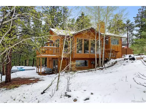 121 Iris Dr, Bailey, CO 80421 photo 1