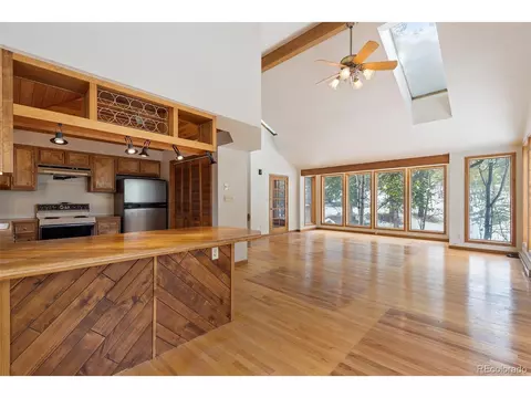 121 Iris Dr, Bailey, CO 80421 photo 9