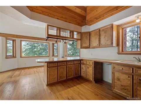 121 Iris Dr, Bailey, CO 80421 photo 7
