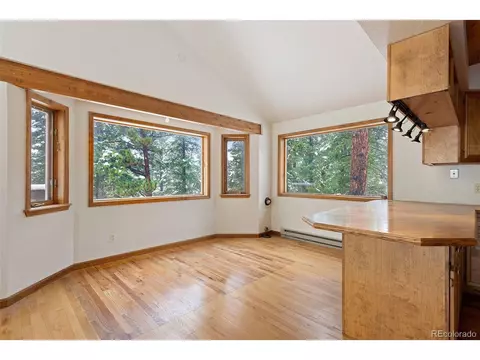 121 Iris Dr, Bailey, CO 80421 photo 6