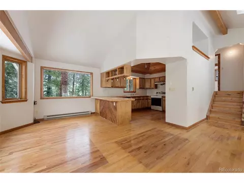 121 Iris Dr, Bailey, CO 80421 photo 5