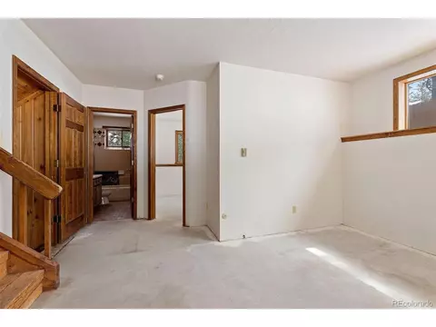 121 Iris Dr, Bailey, CO 80421 photo 24