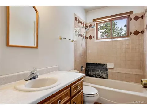 121 Iris Dr, Bailey, CO 80421 photo 26