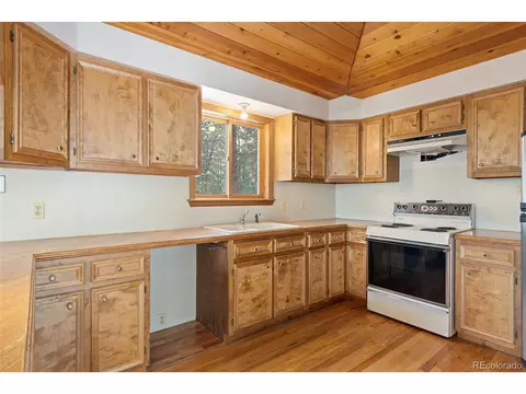 121 Iris Dr, Bailey, CO 80421 photo 10
