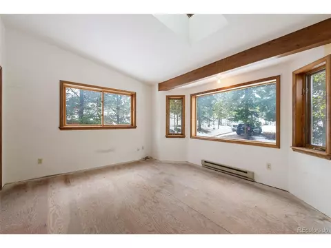 121 Iris Dr, Bailey, CO 80421 photo 16