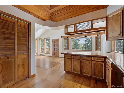 121 Iris Dr, Bailey, CO 80421 photo 8