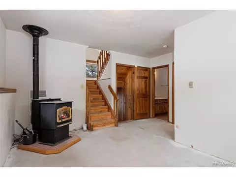 121 Iris Dr, Bailey, CO 80421 photo 22