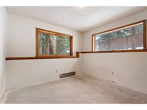 121 Iris Dr, Bailey, CO 80421 photo 27